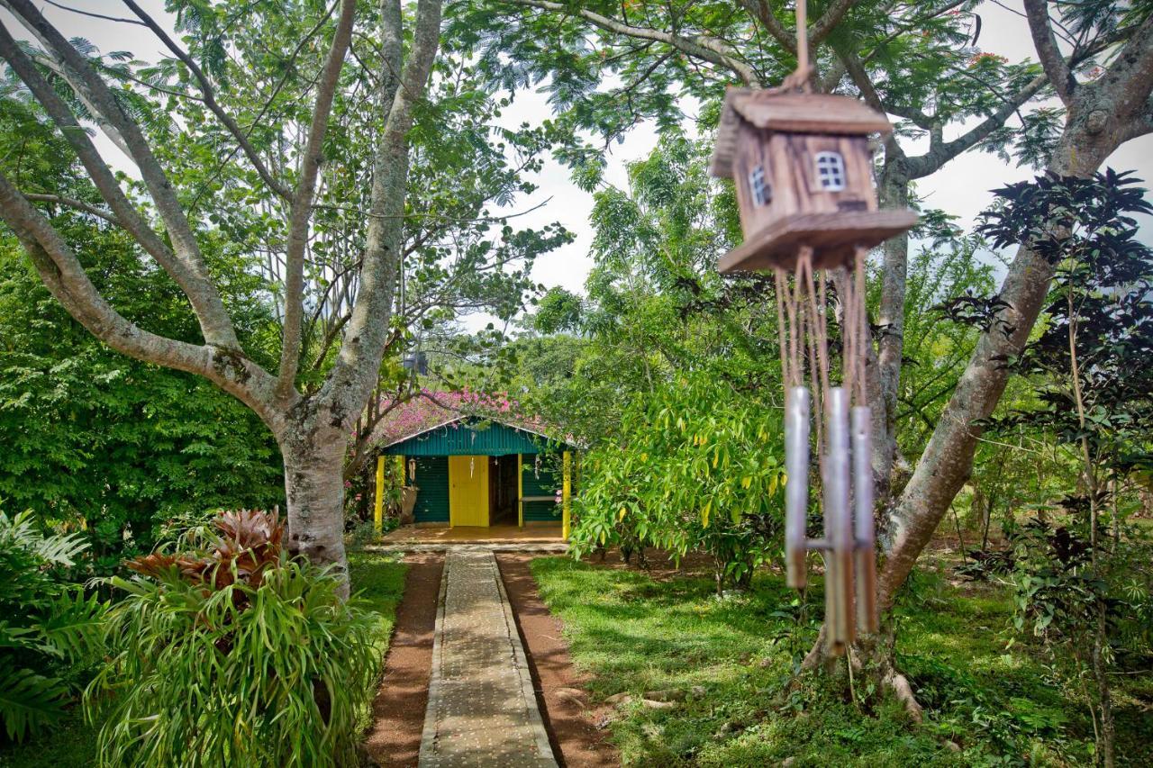 Villa Anacahuita, Limonal Jarabacoa Exterior photo